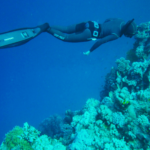 Immersione in apnea sport estremo